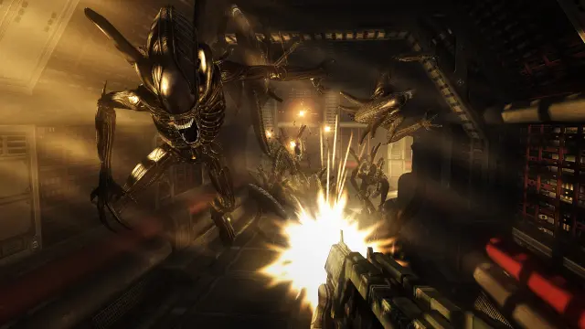 Aliens vs. Predator screenshot 3